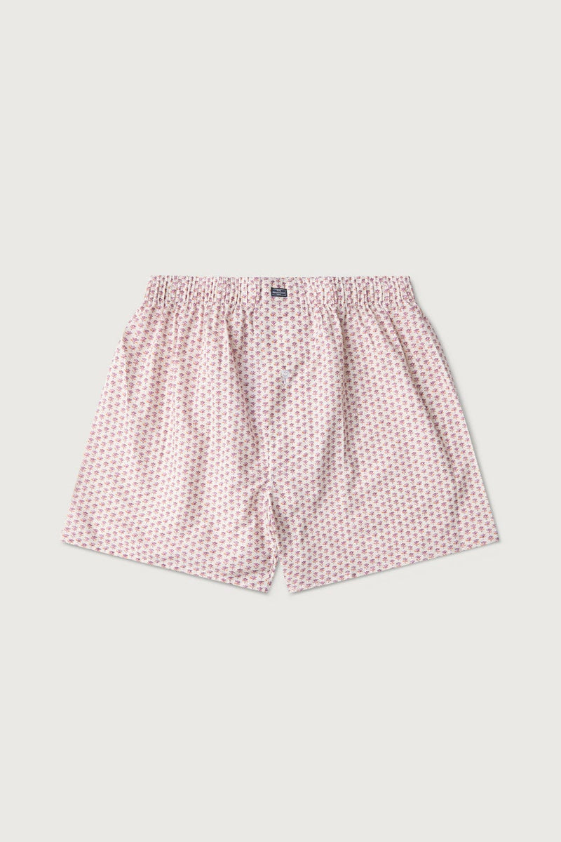 The Boxer Flor Rosa-zoom-