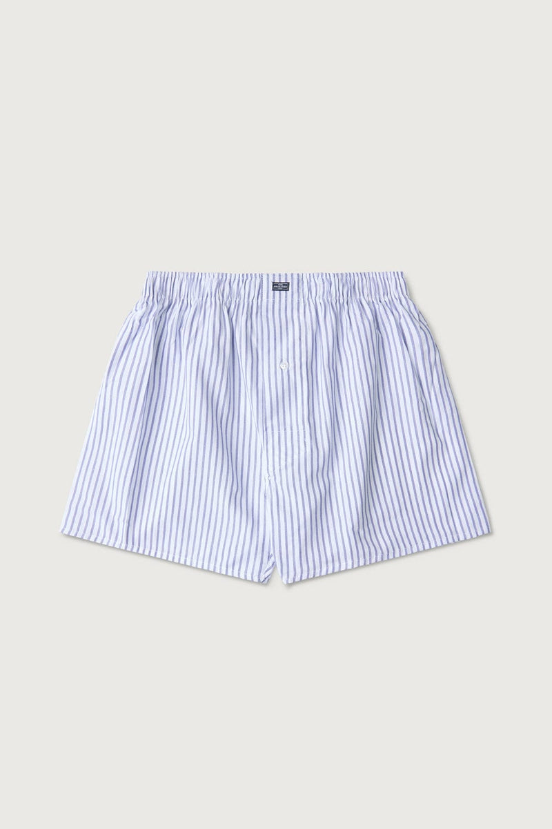 The Boxer Raya Celeste-zoom-
