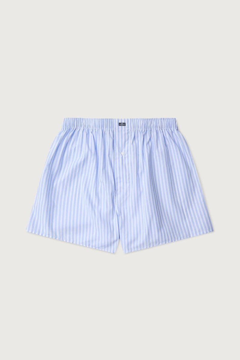 The Boxer Raya Candela-zoom-