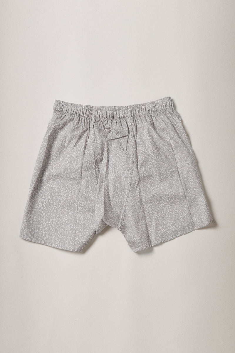 The Boxer Bosque Gris-zoom-