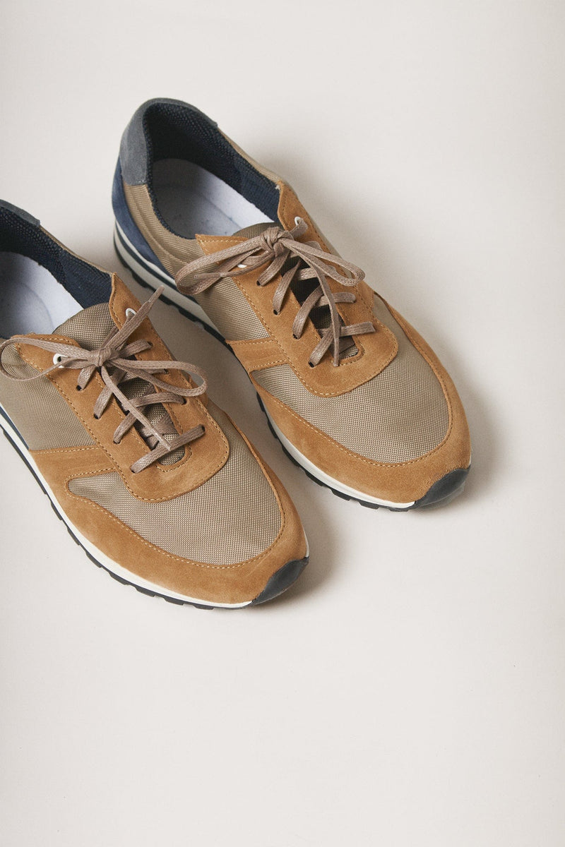 The Sneakers Lion y Azul-zoom-