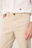 The Chino Beige Seimeira