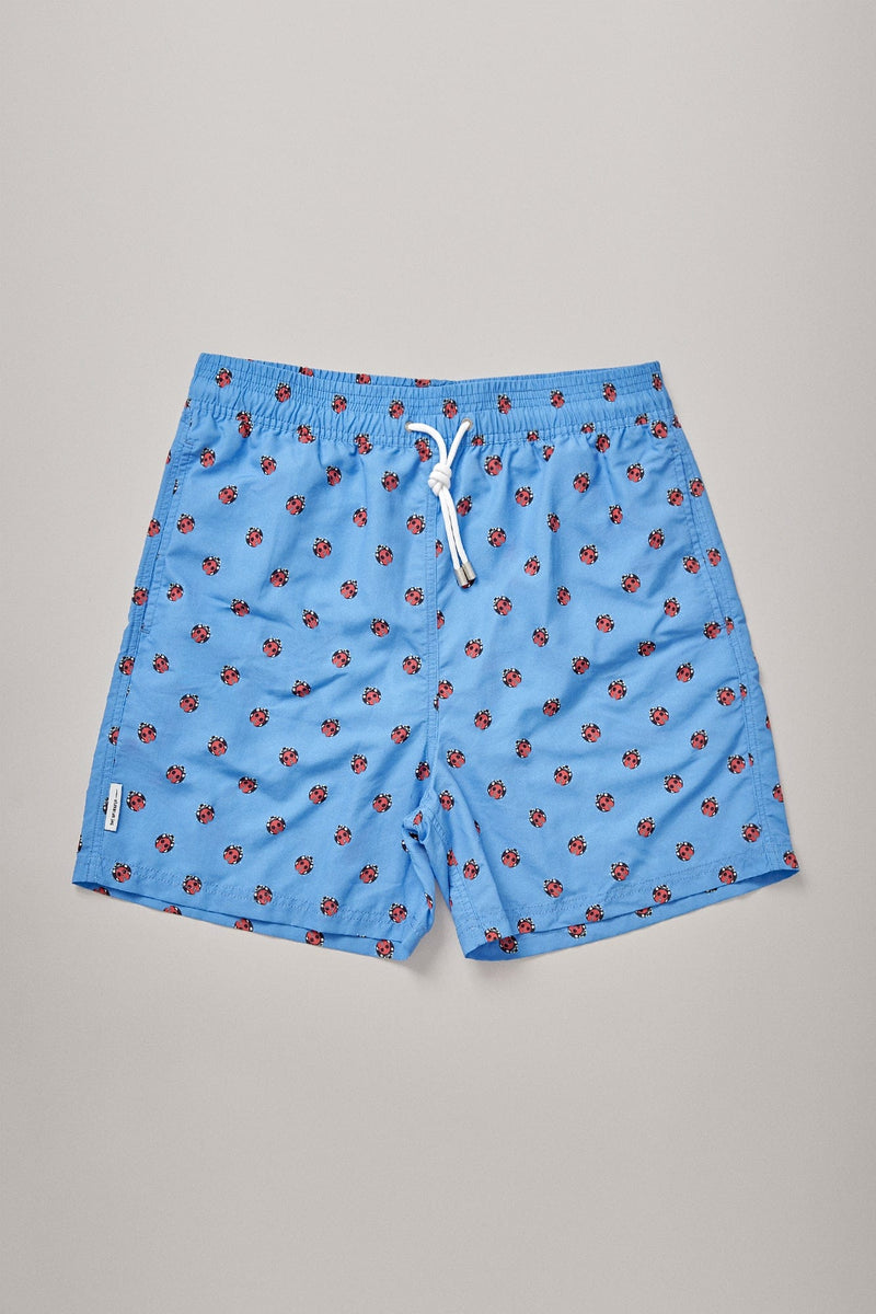 The Swim Insecto Rojo Fondo Azul-zoom-